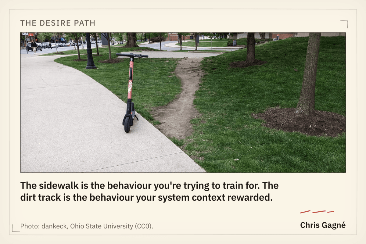 A desire path worn across the grass beside a paved walkway