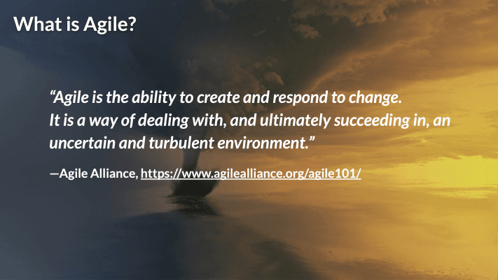 Agile Mindset: Adopting an Agile Mindset