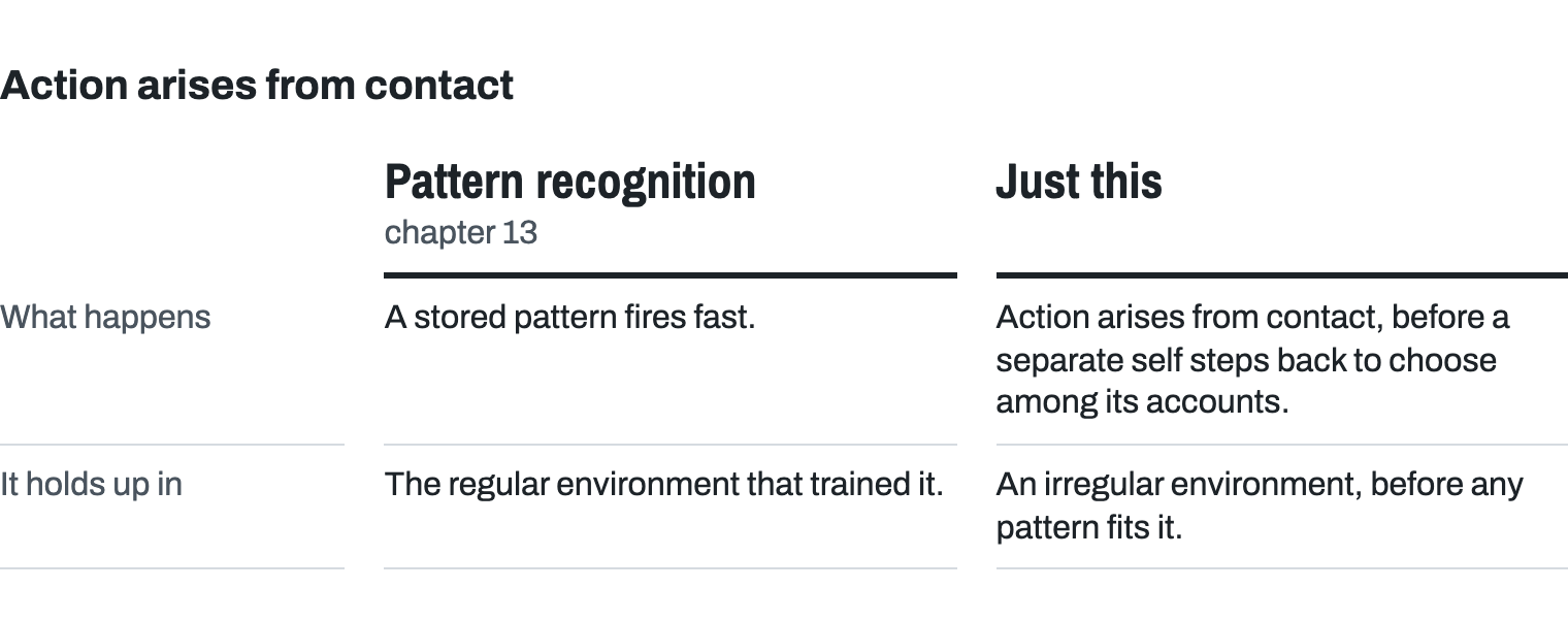 Two columns. Pattern recognition, chapter 13: a stored pattern fires fast, and it's only as good as the regular environment that trained it. Just this: action arises from contact, before a separate self steps back to choose among its accounts of what is happening; it stays in contact until the situation shows itself, which is how a leader meets an irregular environment before any pattern fits it.