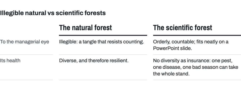 Two forests side by side. The natural forest: illegible, a tangle that resists counting; diverse and therefore resilient. The scientific forest: orderly, countable, fits neatly on a PowerPoint slide; with no diversity as insurance, one pest, one disease or one bad season can take the whole stand.