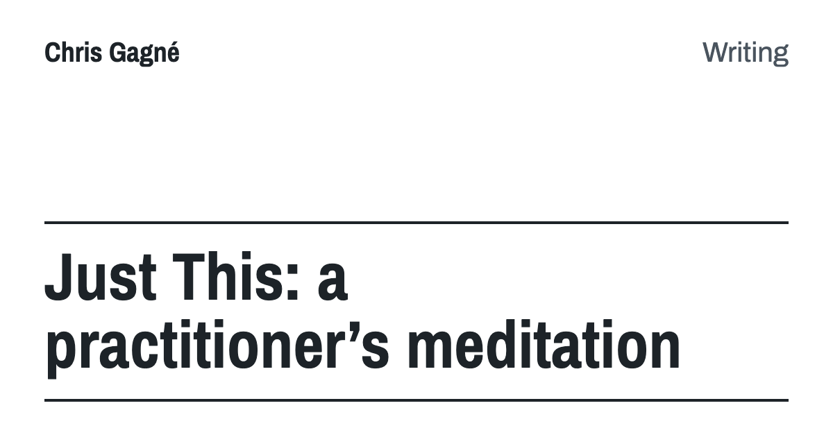 Just This: a practitioner’s meditation